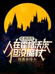 Harry Potter: Man at Hogwarts but no wand