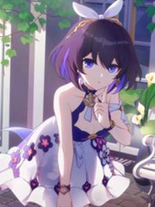 Does Honkai start with a wife?